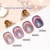 Ice and Fire Cat's Eye Nail Polish - Image 3